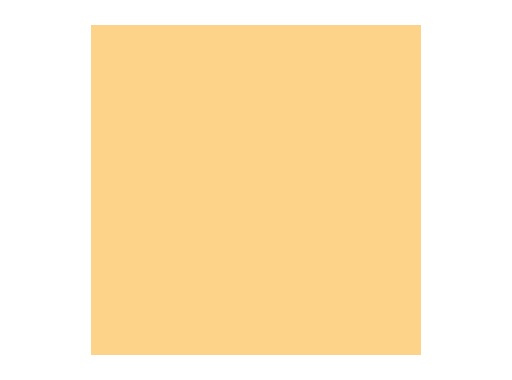 Filtre gélatine LEE FILTERS Pale amber gold 009 - rouleau 7,62m x 1,22m