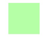 Filtre gélatine LEE FILTERS Pale green 138 - feuille 0,53m x 1,22m-filtres-lee-filters