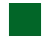 Filtre gélatine ROSCO SUPERGEL Primary Green - feuille 0,50m x 0,61m-filtres-rosco-supergel