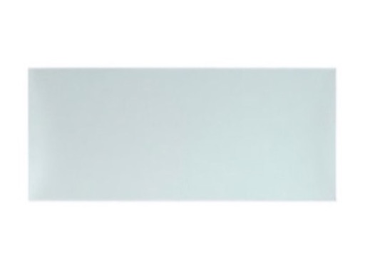 Filtre holographique 10 x 60&deg; (H x V) pour projecteur X-BRICK ou BRICK 32 - DTS