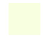 Filtre gélatine ROSCO EIGHTH PLUS GREEN - feuille 0,53 x 1,22-filtres-rosco-e-color